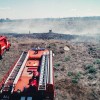 Очередной пожар в Севастополе уничтожил растительность на гектаре земли