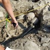 Археологи нашли в Крыму человеческие скелеты с вытянутыми черепами
