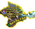 Мастерская SenSeY86